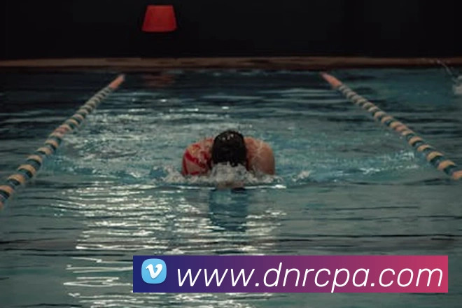 App Interface Preview